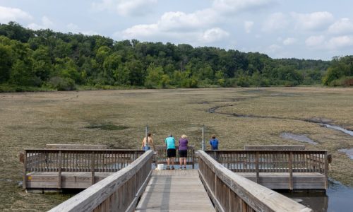 Work on Lake Alice, virtually empty since August dam failure, should be complete by fall 2027