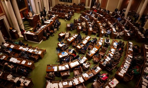 MN legislators hear bill that would allow lawsuits against federal agents