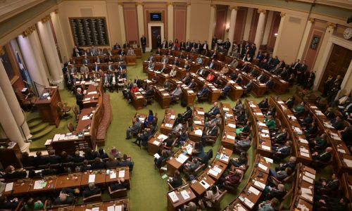 Fraud, immigration enforcement bills face early snags at MN Capitol
