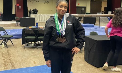 State Gymnastics: North/Tartan’s Sydney Johnson wins two titles