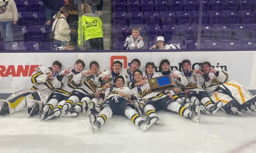 Boys hockey: Rosemount gets ‘over the hump,’ beats St. Thomas Academy in section final