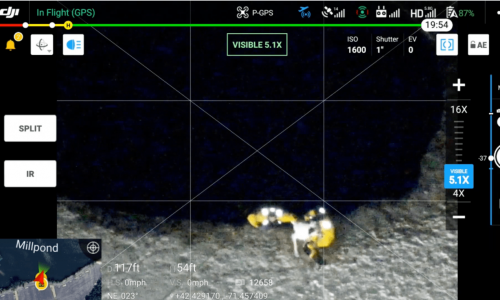 Maynard Police, Fire rescue Rufus the dog from icy pond [+video]