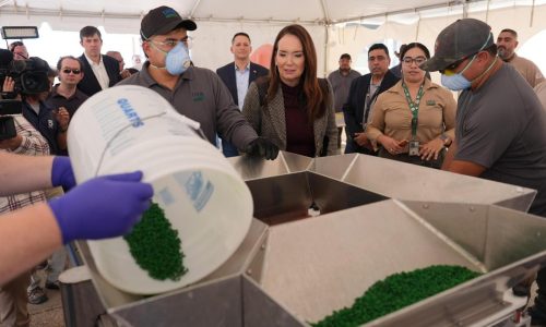 The US has a new center in Texas to disperse sterile screwworm flies to block a parasite it spawns