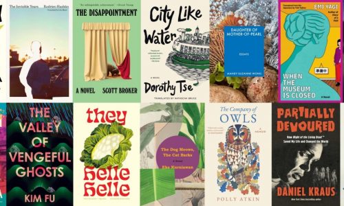 27 independent press books to add to your 2026 TBR list