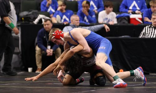 State wrestling: Simley’s move to Section 1AA has major impact on individual tournaments