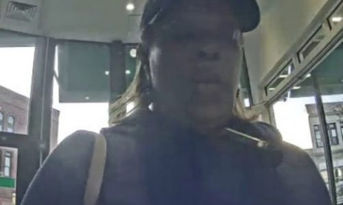 Massachusetts jury convicts illegal immigrant of identity theft, stealing benefits, voter fraud