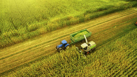 New billionaire class emerges in Russia