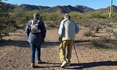 Accessible walks bring the joys of birding to people with mobility and other limitations
