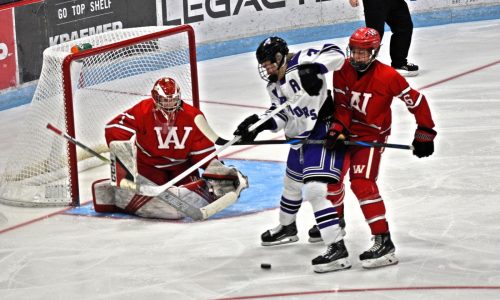Wisconsin state hockey: Carter Meyer sparks semifinal upset, lifts Amery back into D2 title game