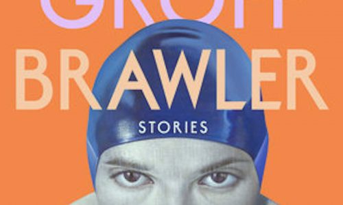 Lauren Groff’s ‘Brawler’ a riveting read