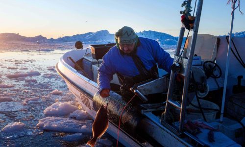 “Hace demasiado calor”: Pescadores en Groenlandia, bajo la amenaza del cambio climático