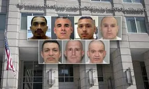 ICE Houston Arrests Over 400 Illegal Immigrants Charged With or Convicted of Child Sex Offenses in 2025