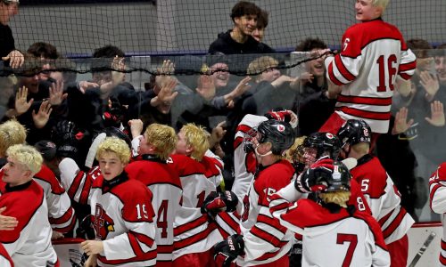 Matt Regan, Pope Francis dominate Marshfield to secure bid to semifinals