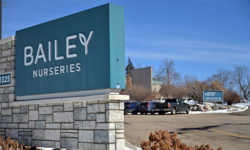 Bailey Nurseries selling 184 acres for mixed-use development