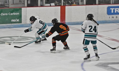 Girls hockey: St. Croix Valley runs out of time in state title game