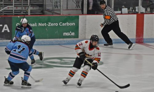 Wisconsin state hockey: Jane Volgren scores four straight to lead St. Croix Valley Fusion to final