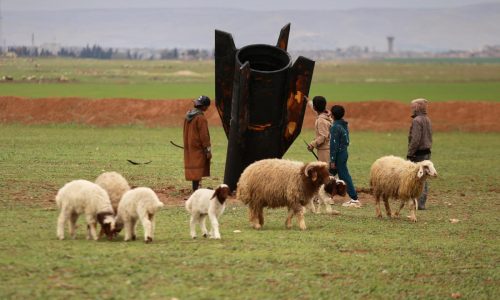 Senate backs war against Iran