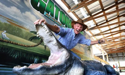 Survey: Gatorland heads list of top roadside attractions in US