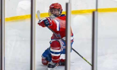Tewksbury marches back to Division 2 boys hockey state final