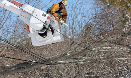 Cape Cod business leader wants to bury electrical grid, demands state support after blizzard