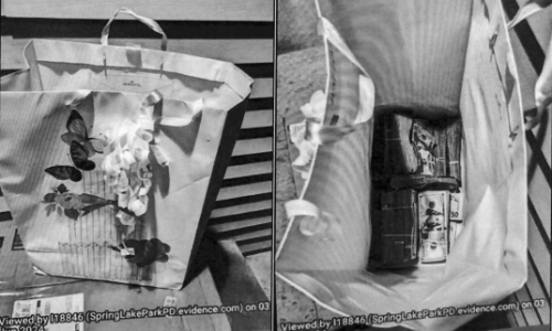 First defendant sentenced in plot to bribe Feeding Our Future juror with $125K cash