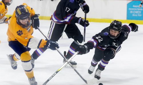 Littleton/Bromfield cruises past DSW for shot at Div. 4 state title