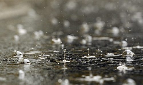 Quick-moving storm Friday will be followed by possible high of 60 on Monday