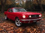 The Cheapest Upgrades that Make an Old Car Feel New Again