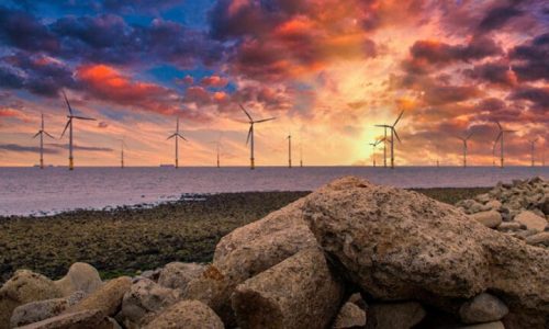 Crown Estate’s payout to the Treasury halves as the offshore wind windfall fades