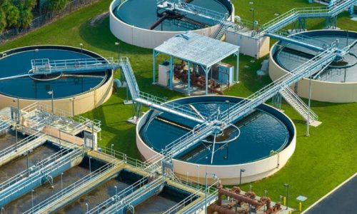 Water fleas, moon tech and sewage-eating larvae win £100,000 apiece