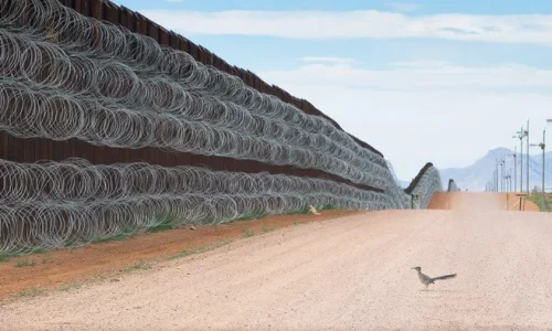 Federal Judge Declines to Block Border Wall Construction on Arizona Tribal Land