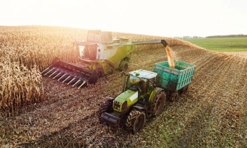 Food prices to rise into 2027 as drought hits UK crops, says FDF