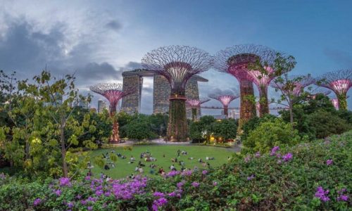 Investing in Singapore as an Expat: What Should You Consider First?