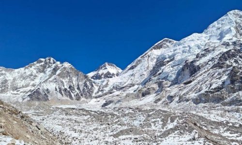 Basecamp Research raises $140m to train AI on the world’s rarest DNA