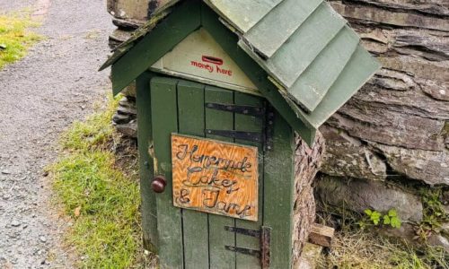 Cake shed owners face HMRC tax bills if unregistered, adviser warns