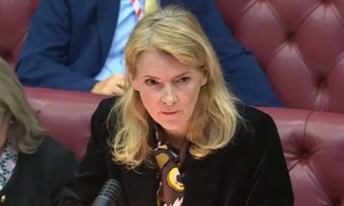 Minister says 32 government services offline over PHP security flaw
