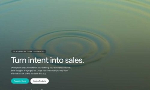 Loops raises $3.5m to build an AI operating system for retailers