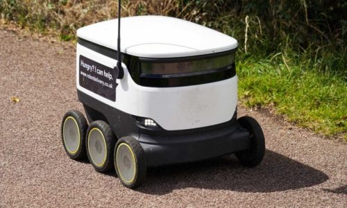 Living Streets calls for ban on delivery robots as trials spread