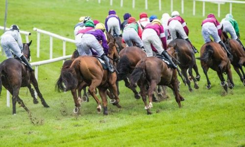 Which sportsbooks offer 2nd by a nose refunds?