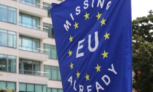 Downing Street gathers evidence on rejoining EU as Macron says “welcome back”